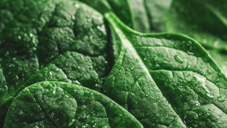 Нека го кажем от самото начало - няма начин да