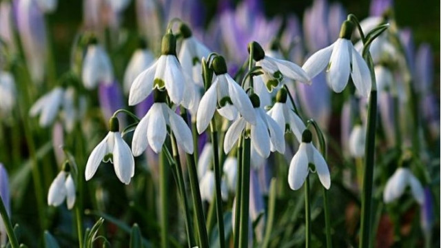 Днес облачността ще е променлива с повече слънчеви часове преди