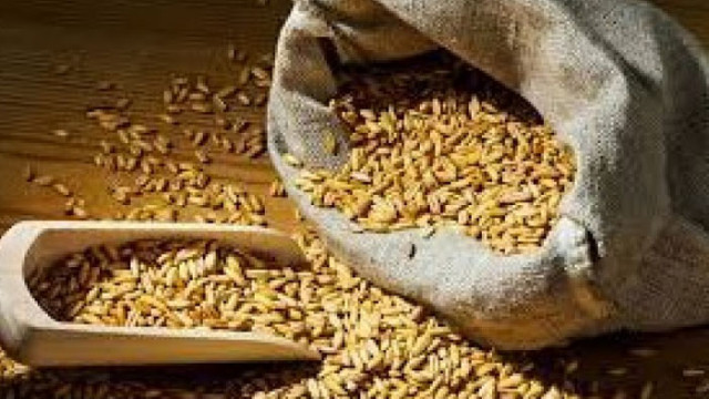 Унгария забрани целия износ на зърно Решението влиза незабавно поради