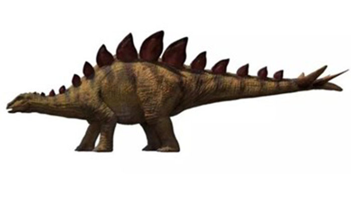 Учени откриха вкаменелост от стегозавър на 169 милиона години в
