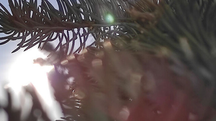 Днес времето над страната ни ще бъде предимно слънчево. По-значителни,