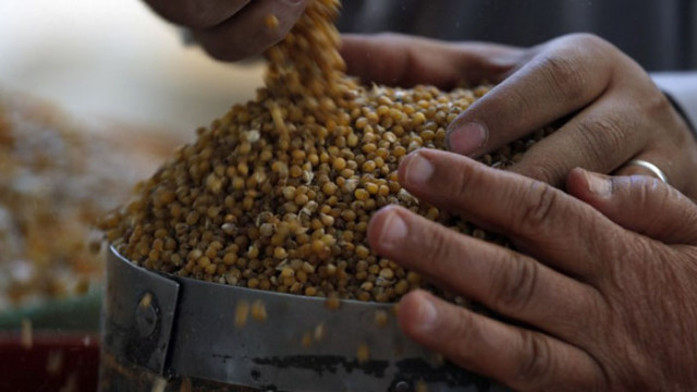 Русия въведе ограничения върху износа на зърнени култури на които