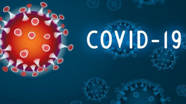 Германия обяви пореден връх на новите случаи с коронавирус на