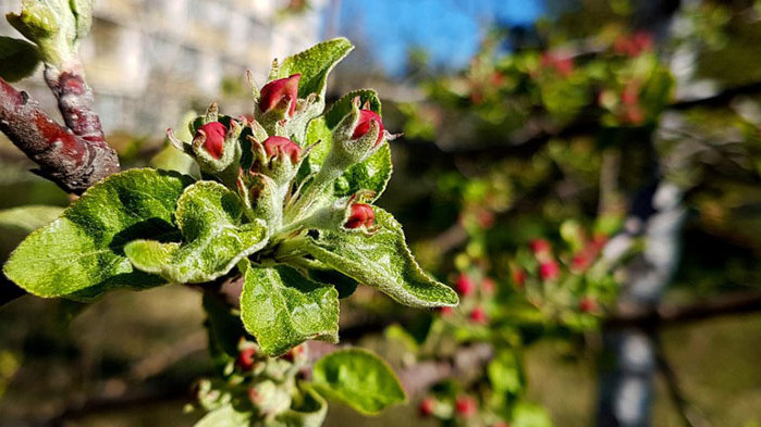 Днес в 17.33 часа настъпва астрономическата пролет. Това е и