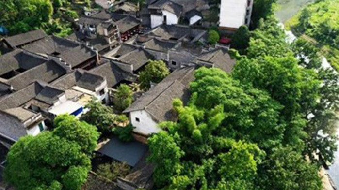 Град Чунцин е спасил над 700 древни и ценни дървета