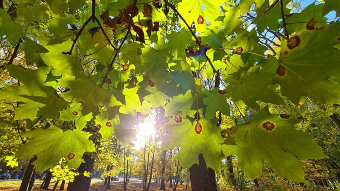 Очаква ни слънчево време. Ще духа слаб, след обяд в