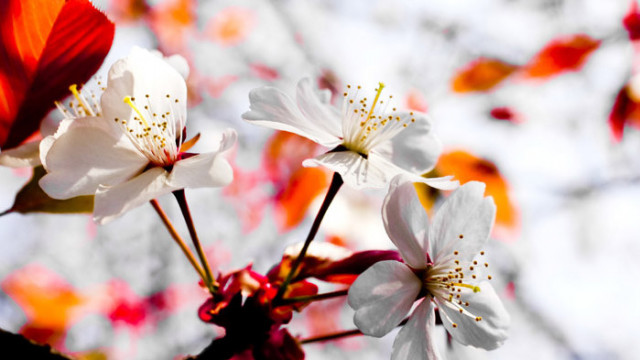 ОвенМного благоприятно време за всякакви оригинални инициативи Най успешни ще са