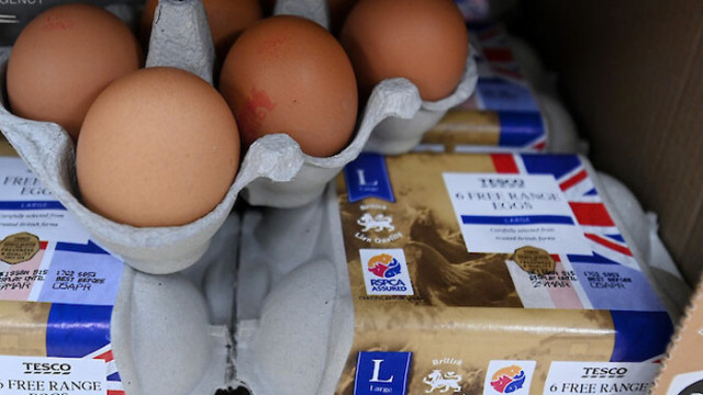 Кокошите яйца са съществена част от хранителния режим на много