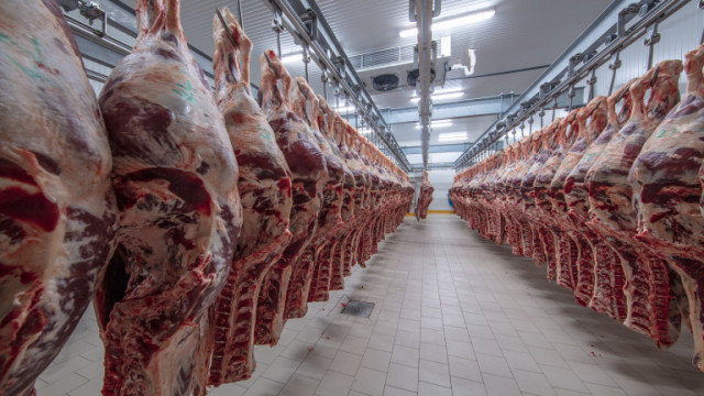Турските власти решиха да спрат износа на червено месо поради
