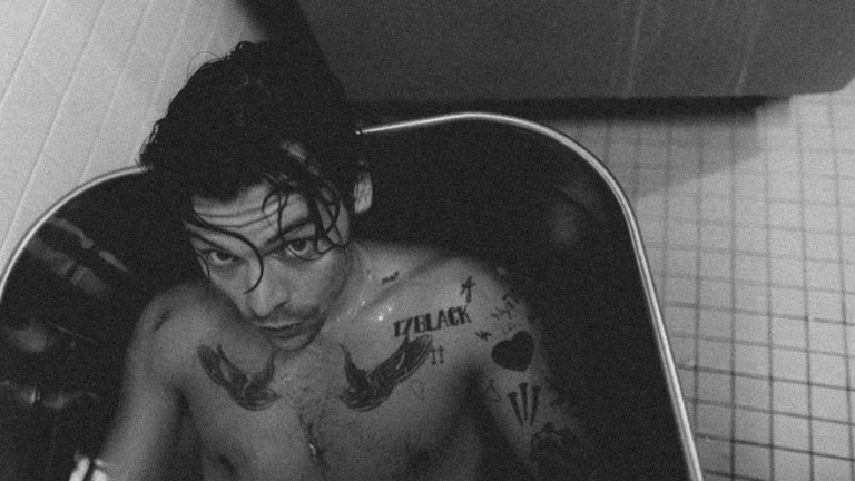 През последните няколко години, освен с музика, Хари Стайлс е