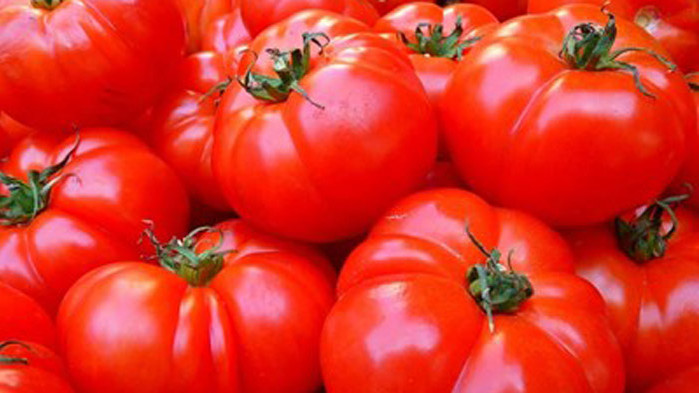 Оранжерийните домати родно производство са поскъпнали с още 16,1% само