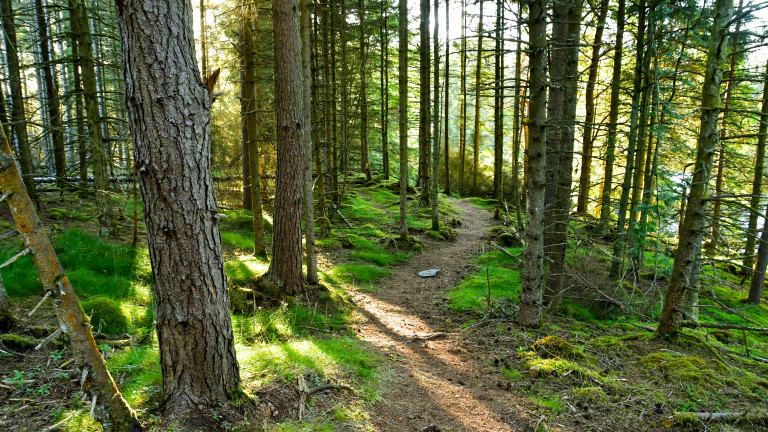 Борбата с корупцията е основен приоритет. Така е записано и
