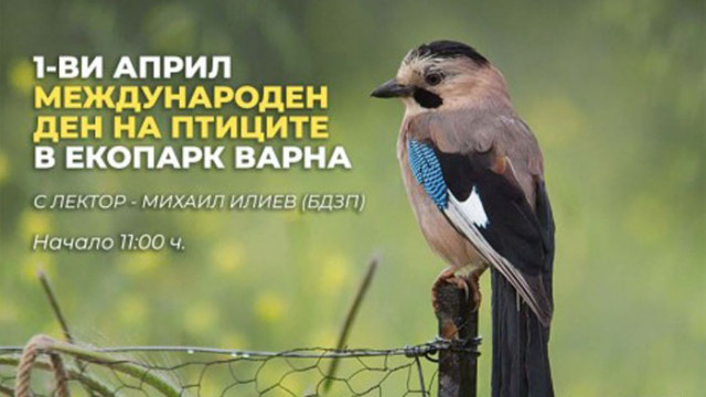 На 1 април от 11 00 часа Екопарк Варна ще отбележи Международния