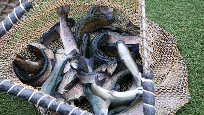 Мината се удря в борда и ние заминаване, ние сме