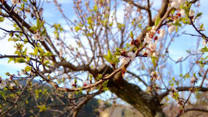 Хороскоп за 30 март 2022 г.