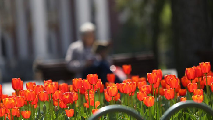 Днес ще има разкъсана облачност, след хладната сутрин и слаб