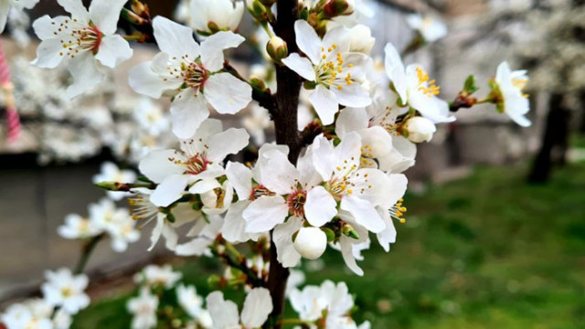 Днес започналото от запад увеличение на облачността ще обхване цялата