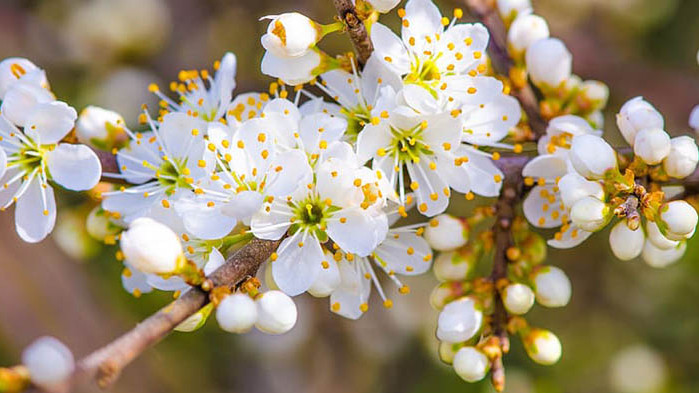 ОвенДнес на Вашия любим човек ще бъде доста трудно да