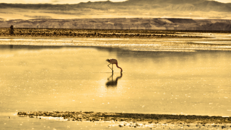 Чили обяви безпрецедентен план за нормиране на водата за столицата