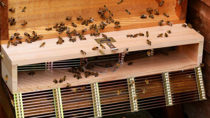 Срещата е планирана за 19 април от 13:00 часа в