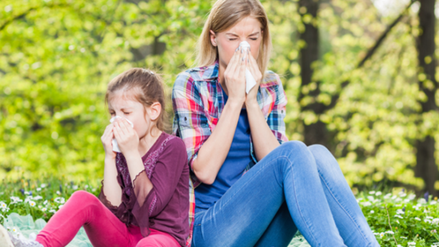 С разцъфва нето на дърветата и цветята се увеличават и