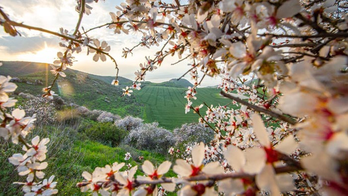 ОвенДнес на Вашия любим човек няма да му се иска