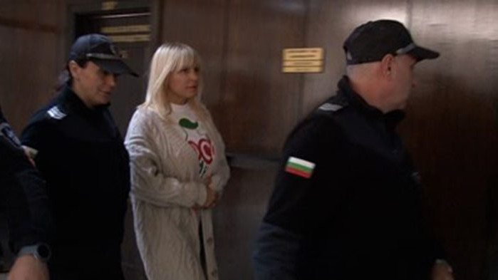 Елена Удря: Румънските власти излъгаха българския съд