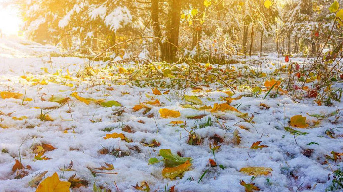 Днес от югозапад облачността ще се увеличава, над Западна България