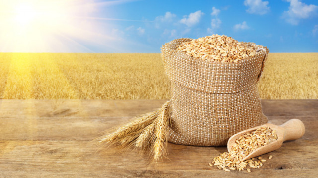Казахстан не е съгласен със забраната за зърното от страна на Русия