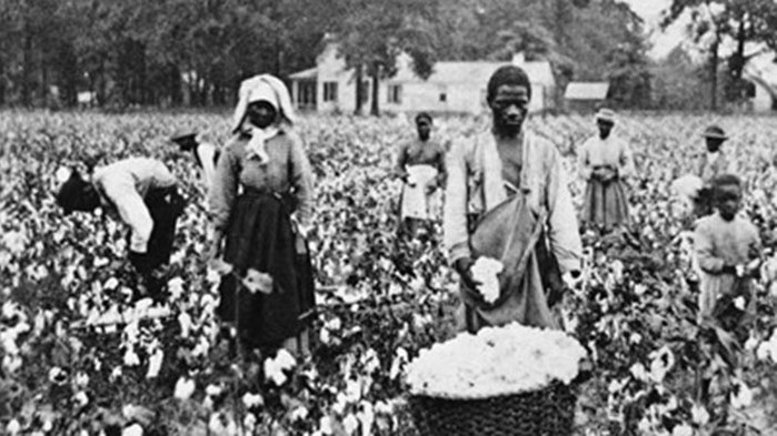 В доклад, публикуван от Харвардския университет неотдавна, се признават 150-годишните