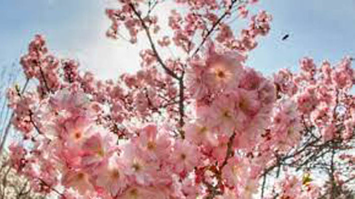 Днес увеличението на облачността ще обхване по-голямата част от страната,