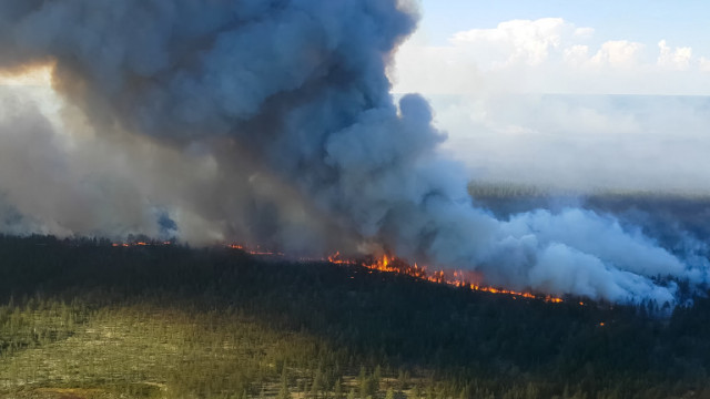В горски пожари в Далечния изток на Русия са загинали осем души