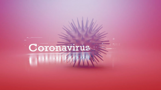 Белгийски учени откриха как да блокират коронавируса