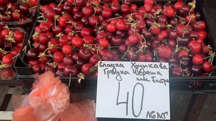 Бърз кредит за череши? Златният плод стигна цена от 40 лв. за килограм във Варна