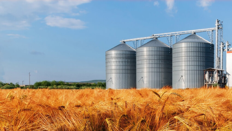 Европейският съюз ще помогне на Украйна да изнася зърно, което