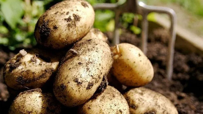 С почти 100% са се повишили разходите за декар земеделска