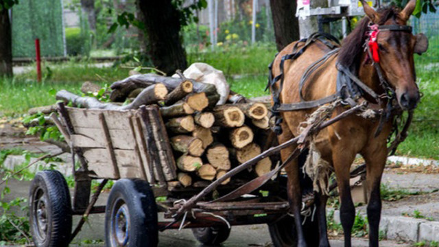 Установено е че 26 годишният подсъдим от град Долни чифлик при