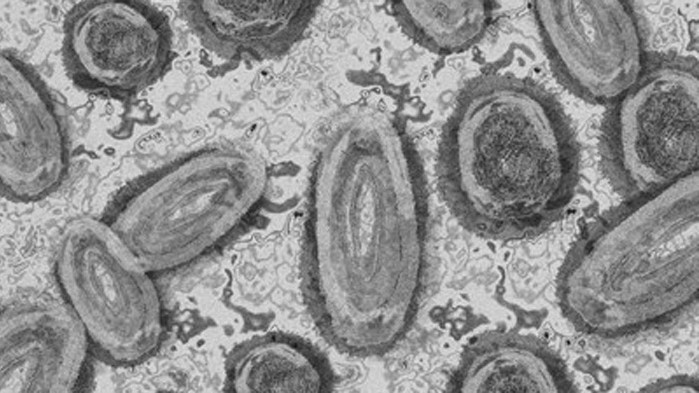 Двама души, които са били в контакт с вируса, причиняващ