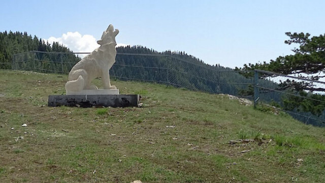 Двутонен каменен вълк е най новата атракция на най високата панорамна