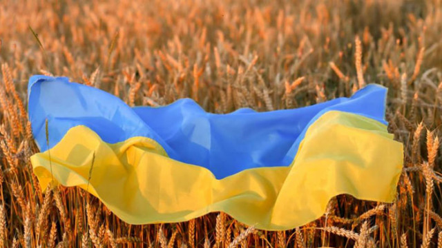 Русия е откраднала почти половин милион тона зърно от окупираните