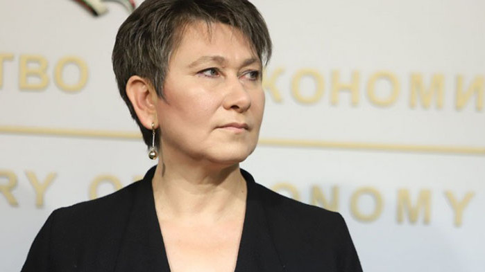 Служебният министър на икономиката Даниела Везиева е уличена в плагиатство