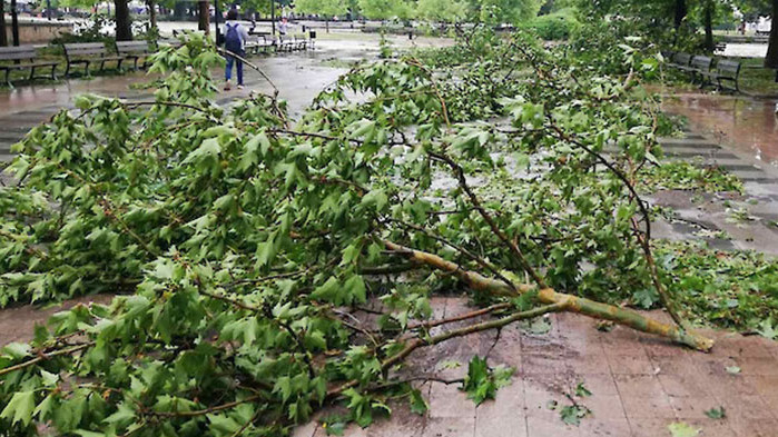 Поривите на вятъра са стигали 72км/ч., като те са били