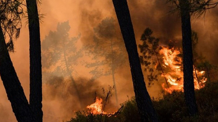 Пожар избухна в горите на остров Сазан близо до Вльора,