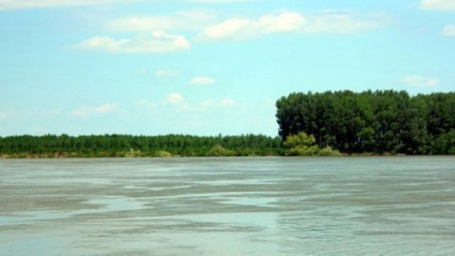 14 годишно момче се удави в река Дунав съобщиха от полицията
