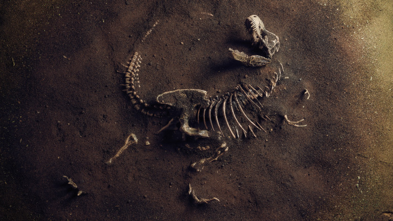 Откриха останки от най-големия динозавър живял в Европа