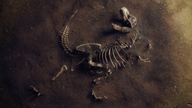 Откриха останки от най-големия динозавър живял в Европа
