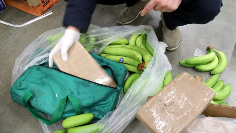 Чешката полиция конфискува голяма пратка кокаин, скрита сред банани, доставени