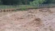Северозападна България пострада от проливните дъждове (СНИМКИ)
