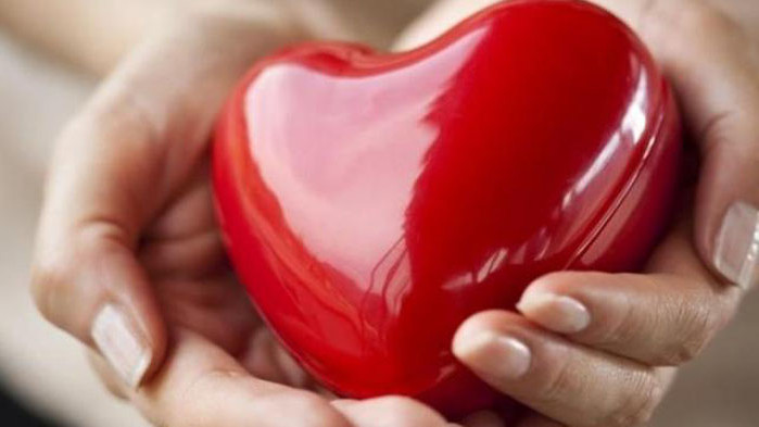 По повод 14 юни – Световния ден на доброволния и