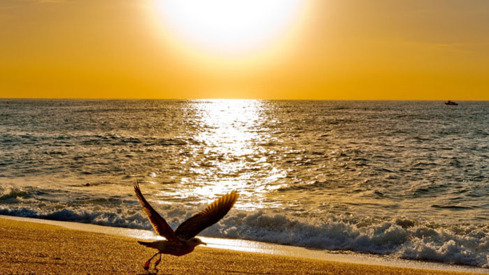 Ще е предимно слънчево. Преди обяд над Северна България ще